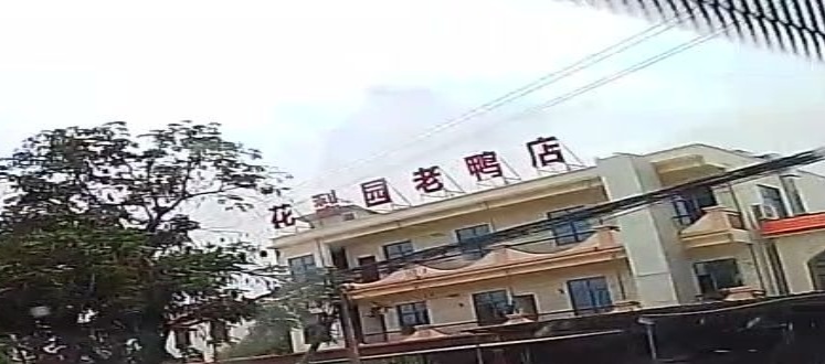 花梨园老鸭店