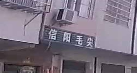 潢川县信阳毛尖(建设路店)