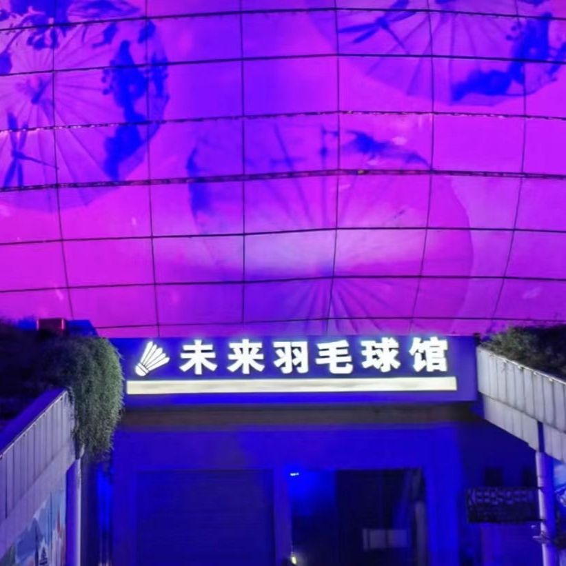 未来羽毛篮球