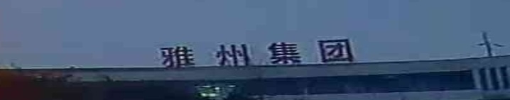 雅州集团