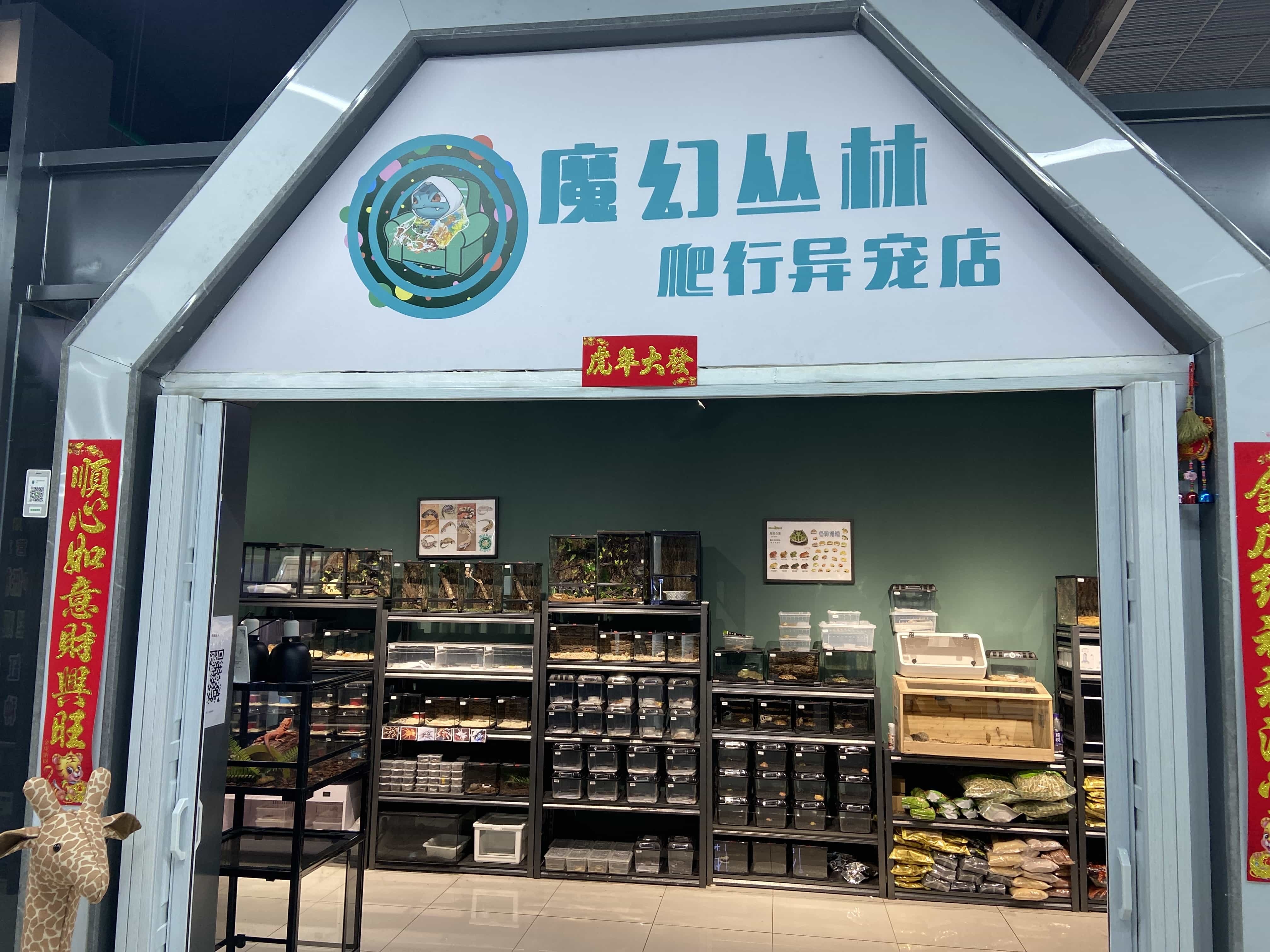 魔幻丛林爬行异宠店