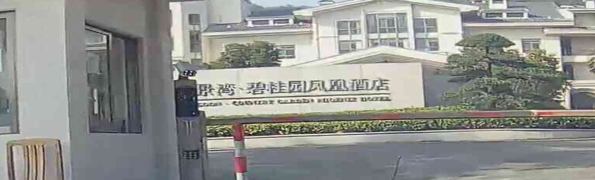 五邑碧桂园凤凰酒店-游泳池