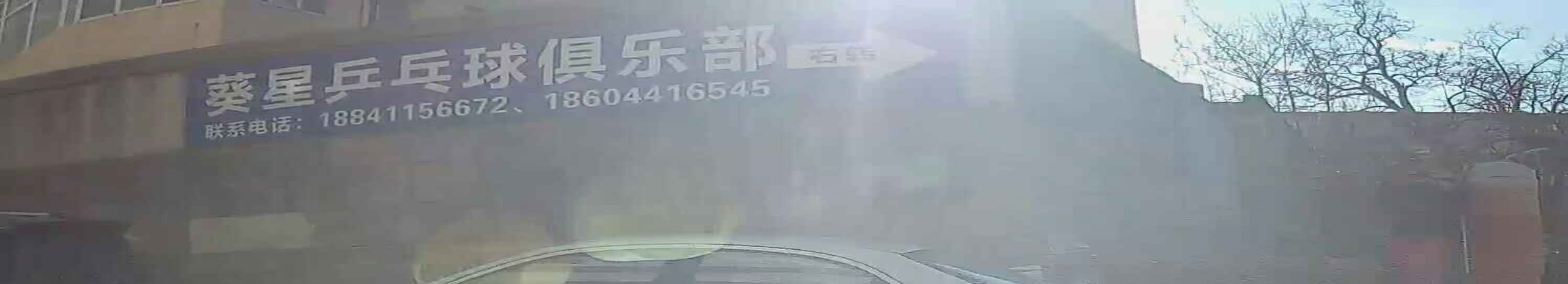 葵星乒乓球俱乐部