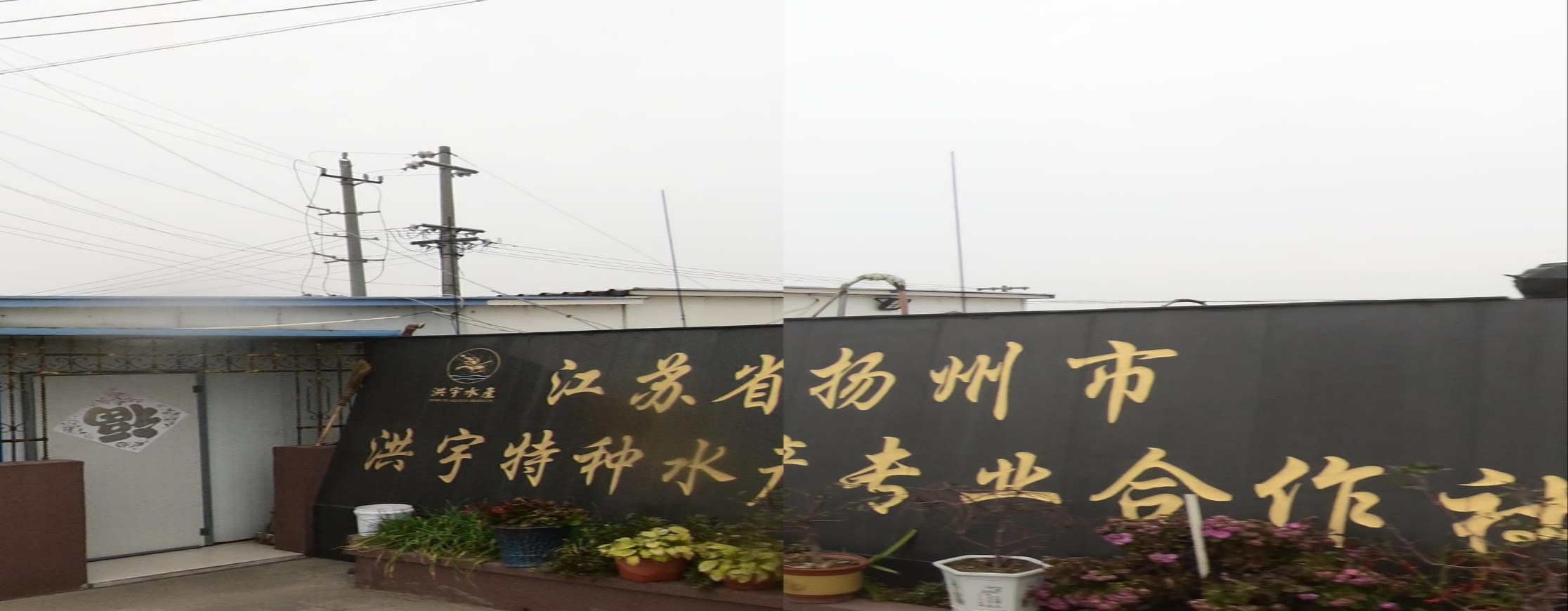 江苏省扬州市洪宇特种水产专业合作社