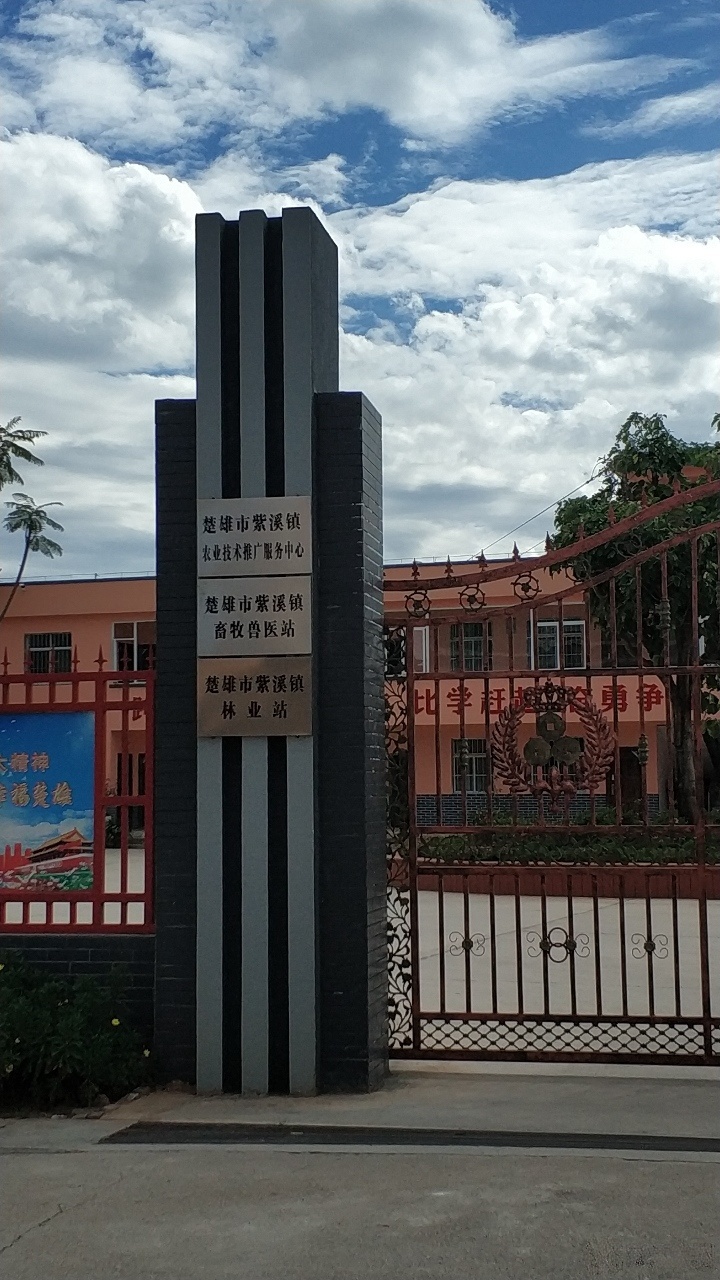 楚雄市紫溪镇林业站