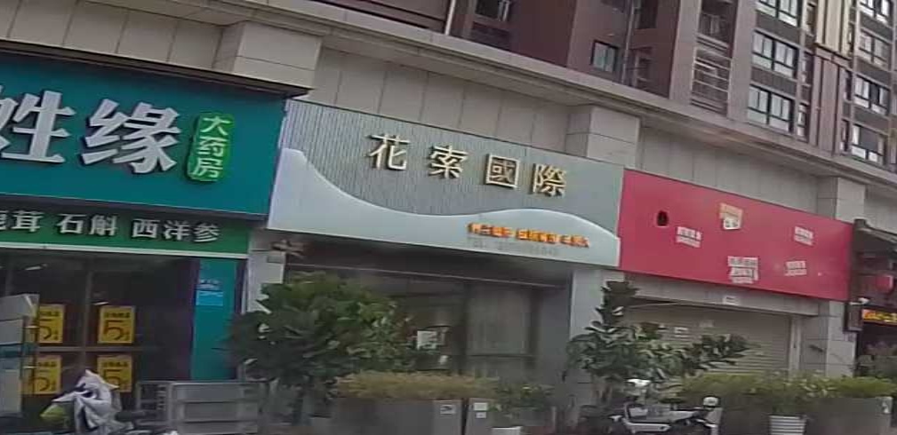 花索国内(金鼎雅苑店)