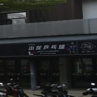 小龙乒乓球培训