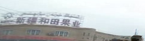 新疆和田果业有限公司