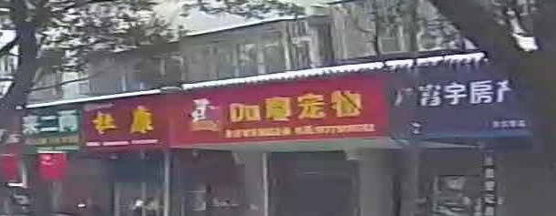 DU嘟宠物