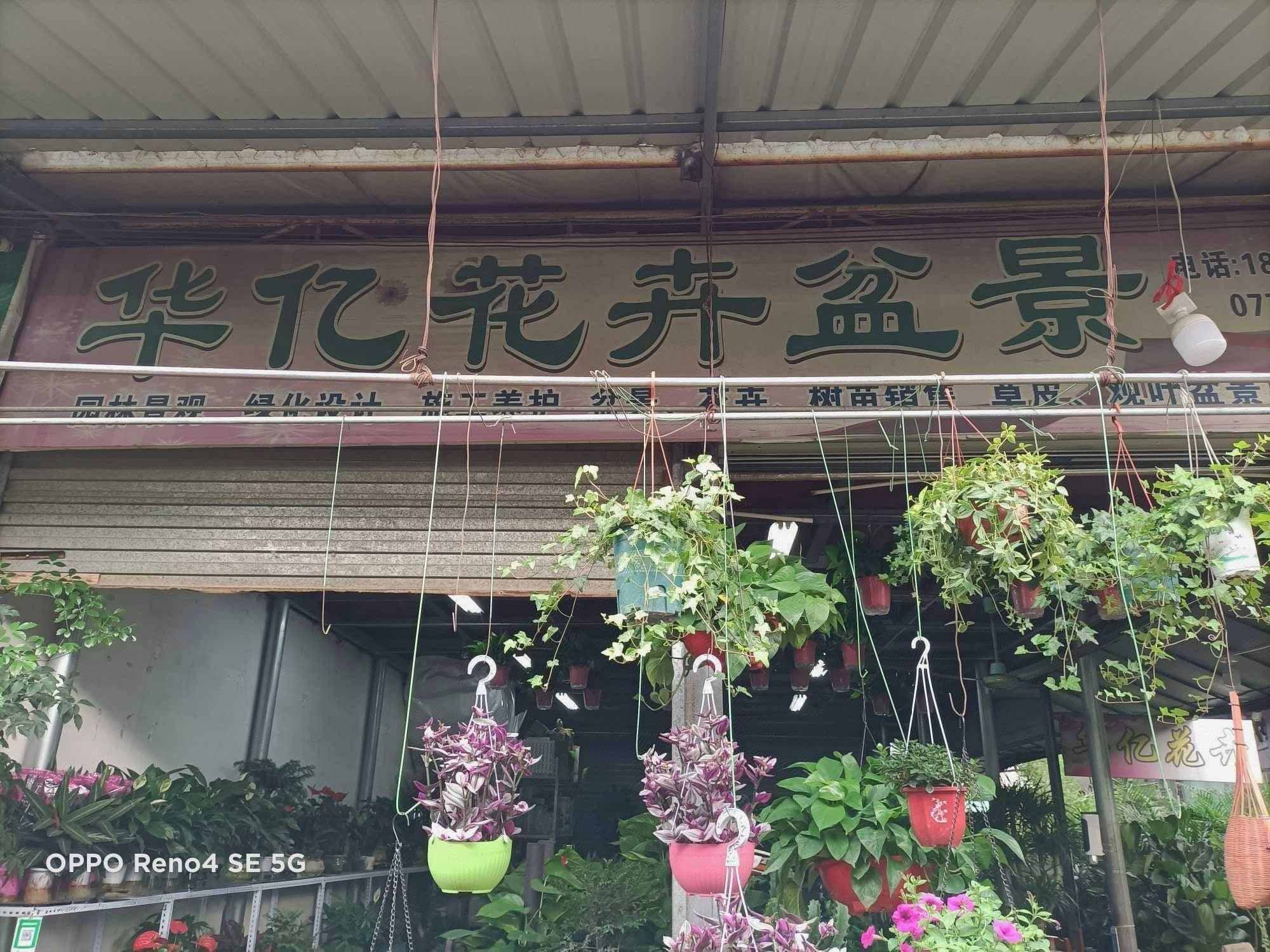 华亿花卉店