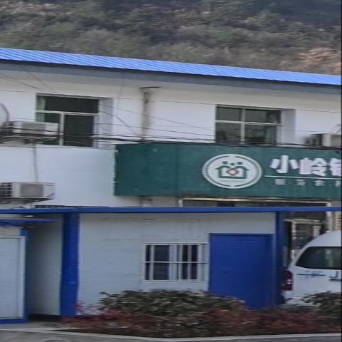 小岭镇卫生院