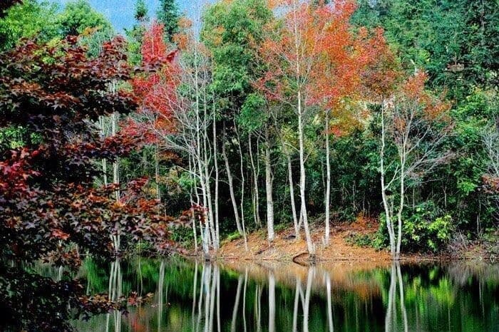 黄斤洞风景区