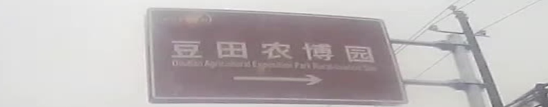 豆田游乐园