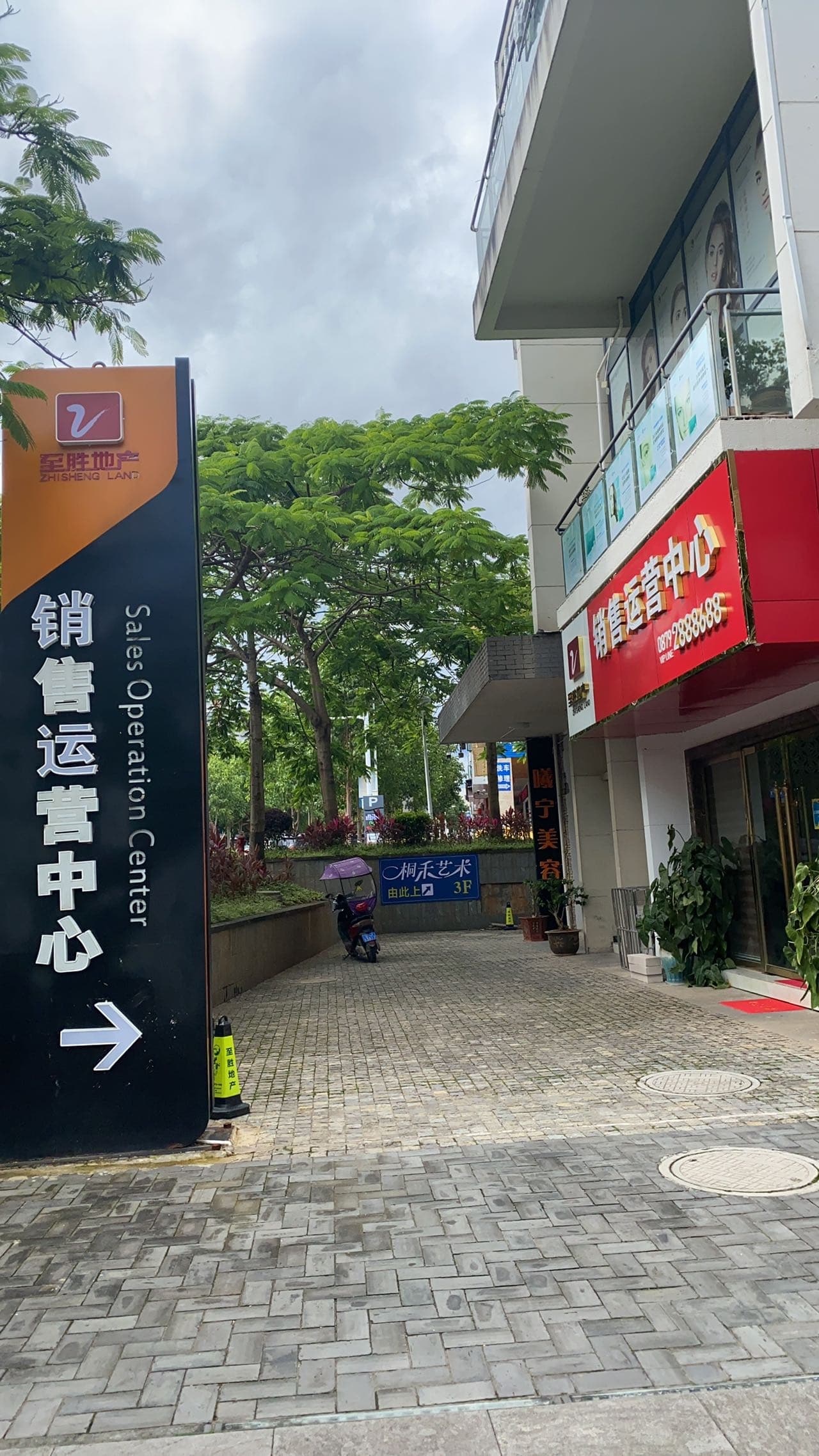 桐禾艺术