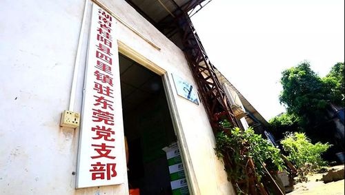 桂阳县四里镇人民政府