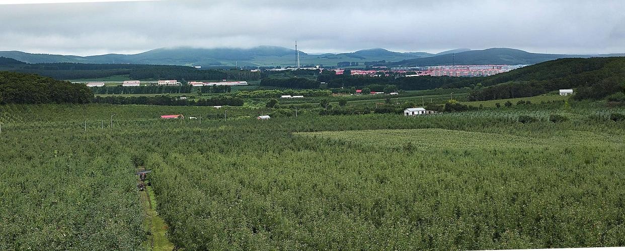 五九七农场