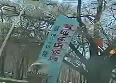 美地花田农场