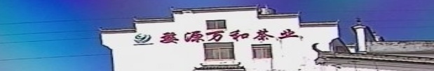 婺源万和茶业