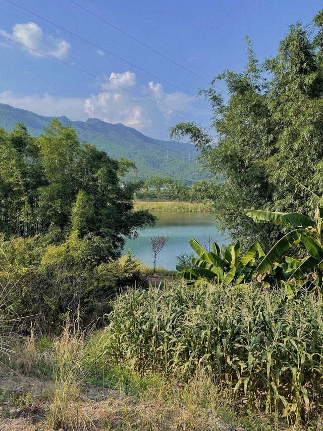 白马村