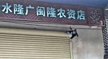 陵水隆广闽隆农资店