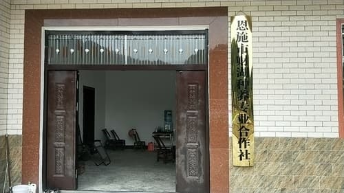 恩施市财湖种养专业合作社余家坝休闲垂钓中中心