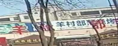 羊村部落烧烤(建国西路店)