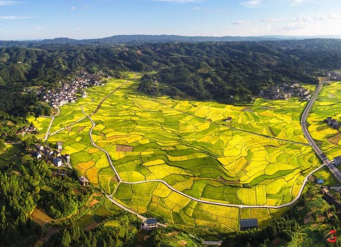 上花村