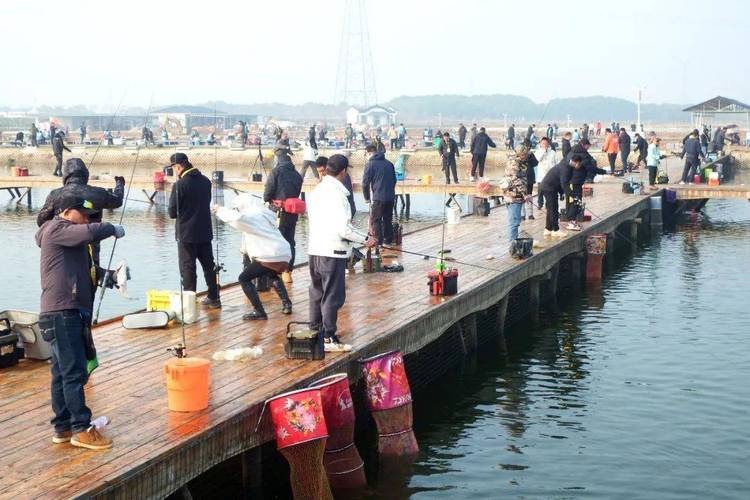 仓埠山庄生态钓场