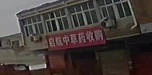 启航中草药收购