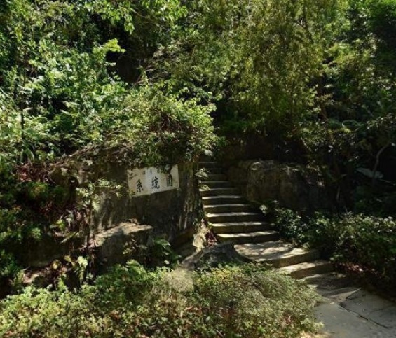 裸子植物系统园