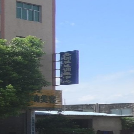 英训乒乓训练中学