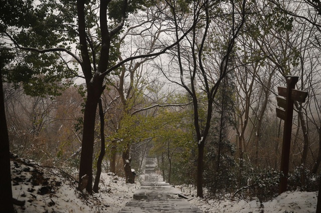 湖北省襄阳市襄州区217省道鹿门寺国家森林公园