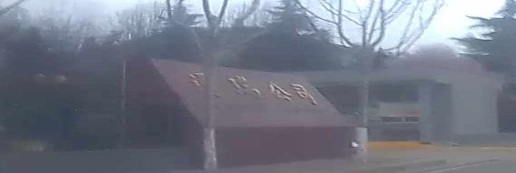 通瑞公司