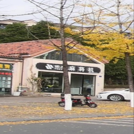 雀友麻将机(仙女店)