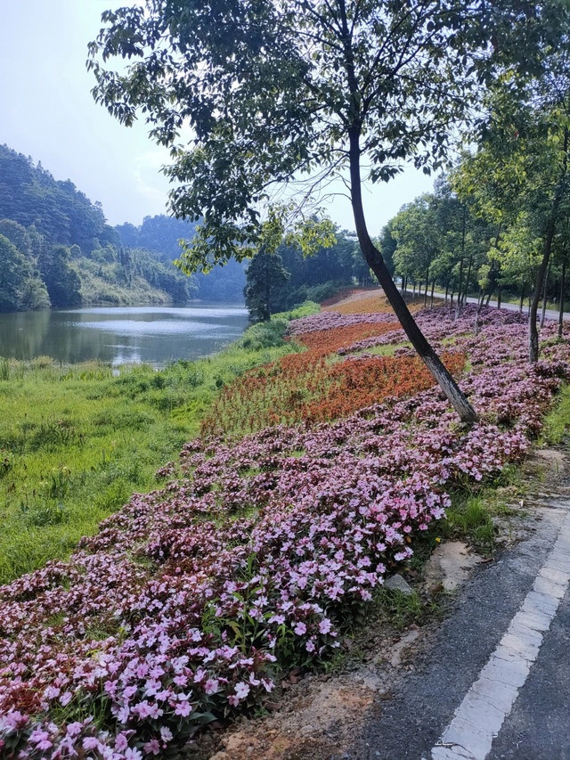 花园山庄度假村