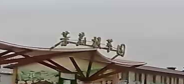 茉莉极萃园