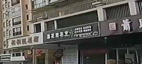 温花里花艺鲜花批发零售(龙山花园店)