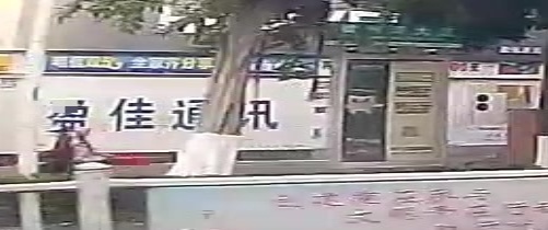 佳诚通讯(大花园旗舰店)