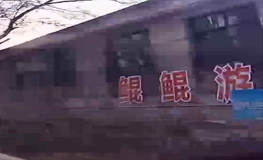 鲲鲲游泳馆