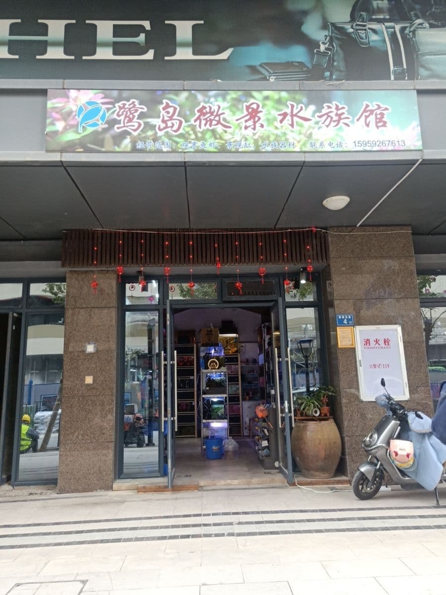 鹭岛微景水族馆(海投第一湾西区店)