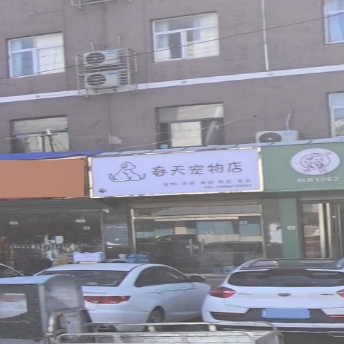 春天宠物店