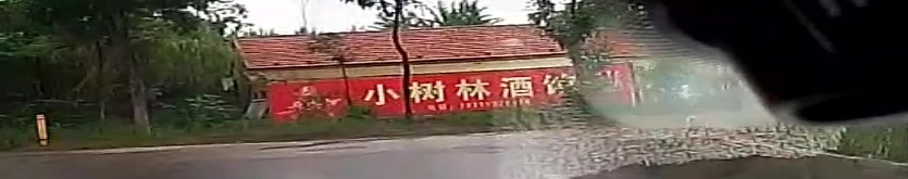 小树林酒馆