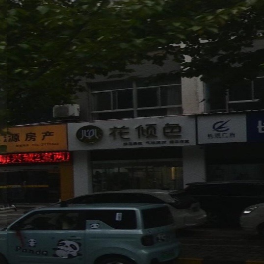 花倾色