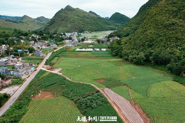 鲁础营回族乡