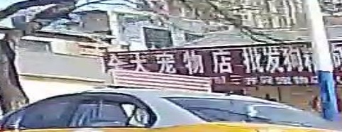 全大宠物店