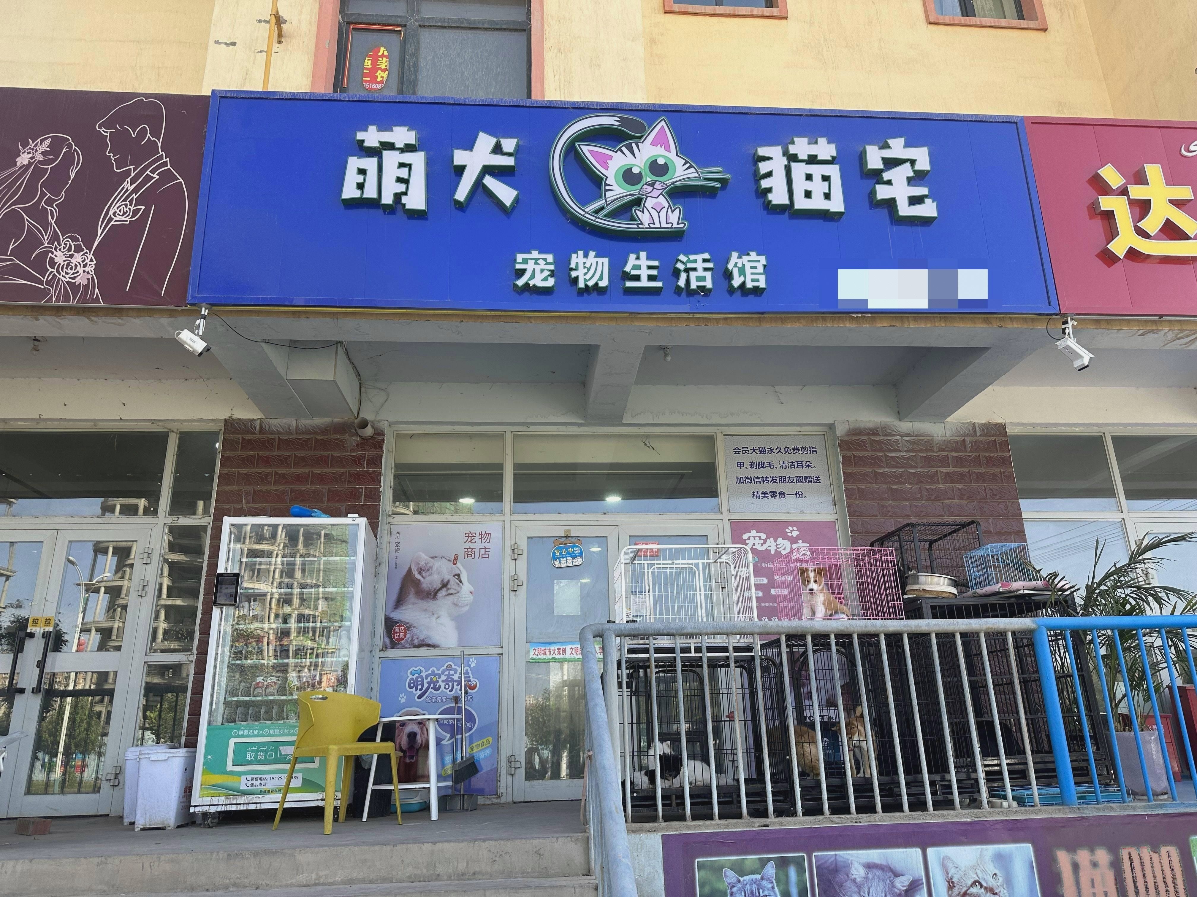 萌犬猫宅宠物店