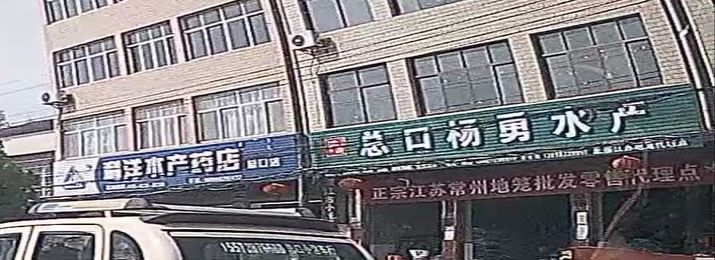 总口杨勇水产