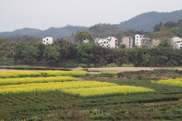 烟村