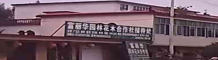 潢川县白店乡富丽华园林花木合作社