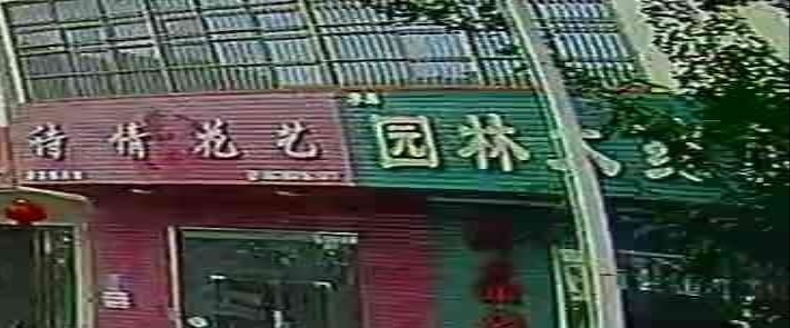 华荣园林大药房